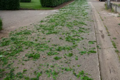 Heggefeesten 2016: Processie