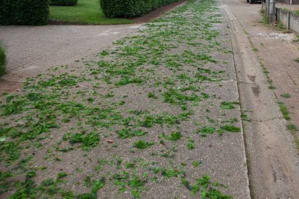 Heggefeesten 2016: Processie